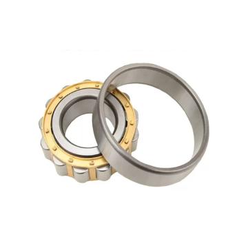 哈轴 圆柱滚子轴承，铜保持架 N204EM