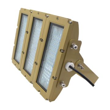 纽厄尔 LED防爆灯 NEW-FBTZ-100B