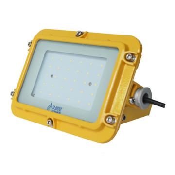 众朗星 固态泛光工作灯25W ZL8920-L25