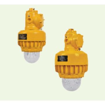 WAROM/华荣 防爆高效节能LED灯 HRD96，220V，20W