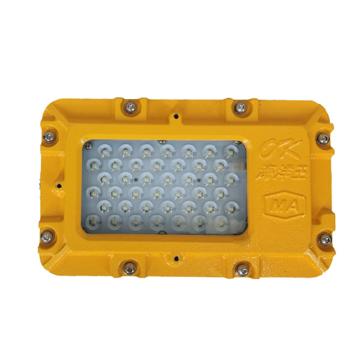 海洋王 矿用隔爆型LED支架灯IP66 DGC35/127L(A)，35W，（侧壁安装）