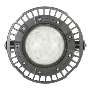 爱迪普森 LED圆形防爆工矿灯白光，IP66，WF2 GCD98-100W-支架款