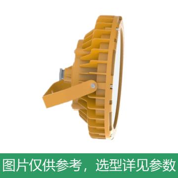 新曙光 防爆LED投光灯100W，白光，含U型支架 NTK5080-C100，5700K
