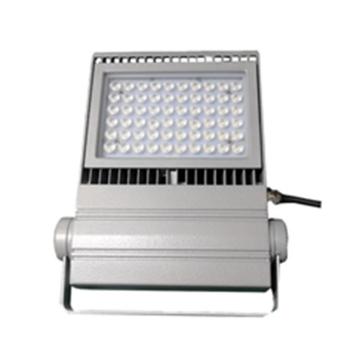 大地之光 LED泛光灯50W 白光 DDZG-AN211-50B