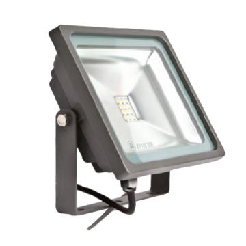 亚牌 泛光灯 ZY1185700，700K，LED灯，30W
