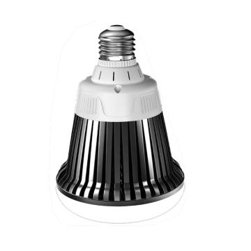 非的 LED金墩墩球泡灯6000K，IP54，白光 FD-JDDQPD-100W-E27