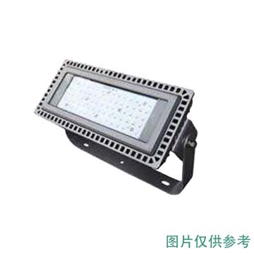 海洋王 LED泛光灯 NFC9281，50W 白光