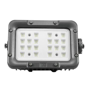 爱迪普森 LED防爆泛光灯白光，IP66，WF2 GCD81-30W