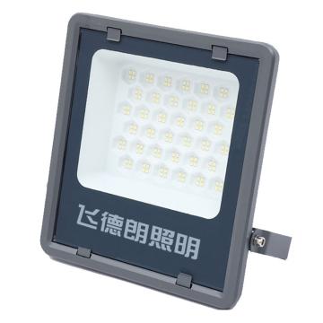 飞德朗 灰金刚泛光灯白光，U型支架壁装 FDL-HJGFGD-100W