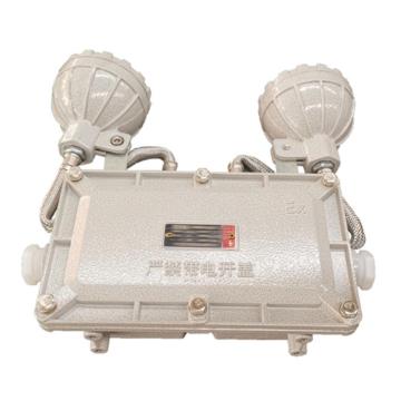雷发照明 LED防爆双头应急灯2*5W，6000K，白光，180°配光，应急时间90min LFB-205-08X