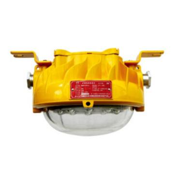 海洋王 矿用LED巷道感应灯 DGS51/127LW（B）-ZM