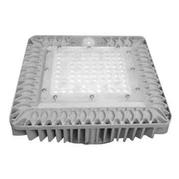 深照紫光 LED泛光灯60w IP66 295*200*70 5.0KG GF9054