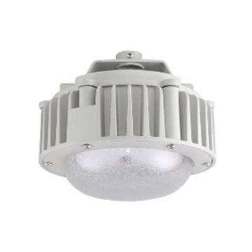 金达 LED免维护平台灯矮玻璃直发光 KD-PBD0188，30W