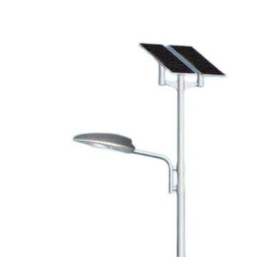 大猩猩 LED风光互补路灯120W，10米，IP66，WF2 FGTYNLD366-TEDI
