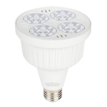开尔照明 LED Par30 36W，6500K，白光