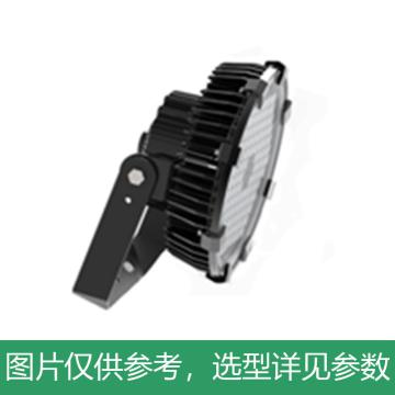 新曙光 LED工厂灯100W，白光 NGK3351-C100，5700K，U型支架