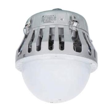 WAROM/华荣 LED平台灯灯杆高2.5m，材质Q235，直径42 GC203-XL80Af 80W，法兰式，含灯杆
