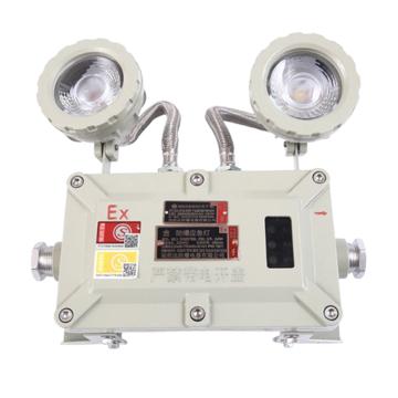 冠奕达 LED防爆应急灯白光，IP65，应急时间≥90min GYD-BCJ-L，2x3W 灰色