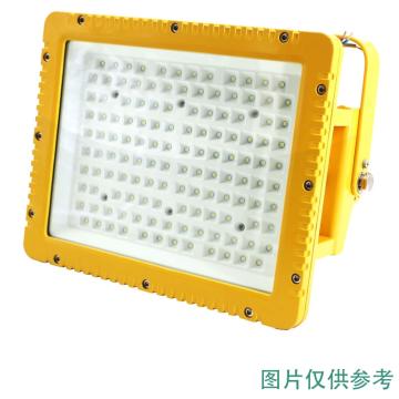 雷发照明 LED防爆泛光灯白光，100W，90°配光，含U型支架 LFB-100-03