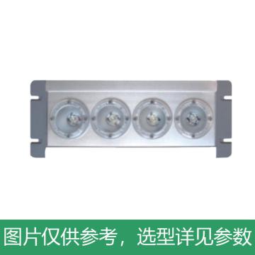 新曙光 LED应急灯4W，白光 NPE4013-C4，5700K，壁装