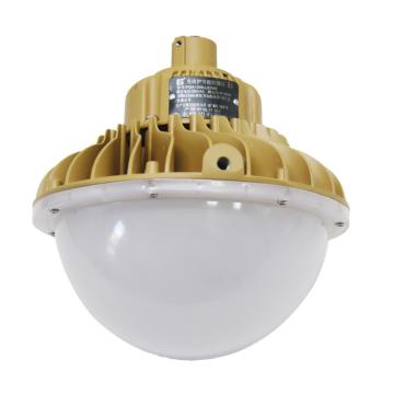 森本 免维护节能防爆灯，80W，白光 FGA1308-LED80