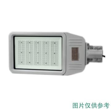 金达 LED免维护节能路灯 KNDFB6130A，100W，不含灯杆