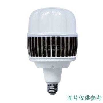 开尔照明 LED灯泡T170，172×290mm，4800lm 60W，白光，E40