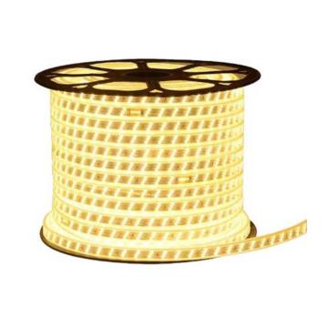 功成狮 高亮工程LED灯带 HFGLGCDD 220V 宽10mm 长100m 5600灯 暖光 无插头 卷 GOHF0813