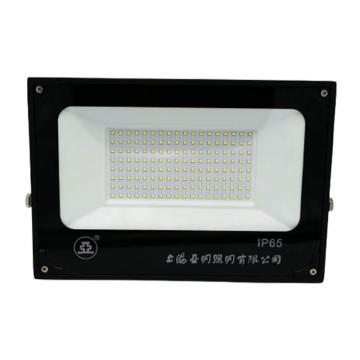 亚牌 LED投光灯白光 ZY609-100W