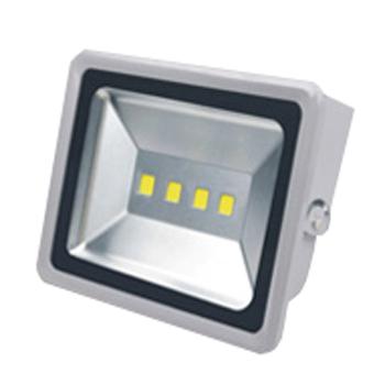 正辉 LED投光灯 CNT9171-L200
