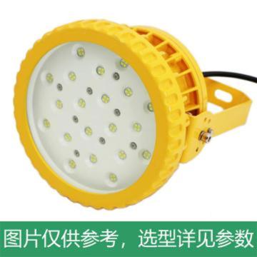 雷发照明 LED泛光灯 LFB0100，100W，白光，5000K，U型支架安装