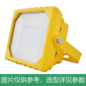 凯瑞 防爆泛光灯白光，80W，配U型支架 KLE5020