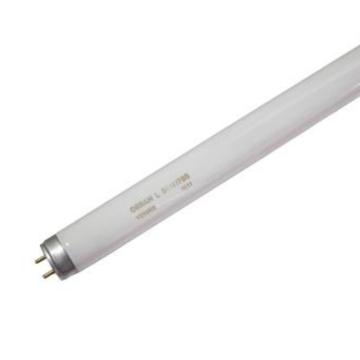OSRAM 标准型直管荧光灯管0.6米，中性光，4000K T8 18W/640