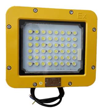 大地之光 LED防爆泛光灯白光，50W DDZG-AE211-50