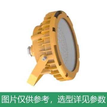 新曙光 防爆LED平台灯低压配置，40W，白光 NPK5063-D-C40，5700K，U型支架