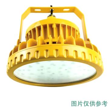 雷发照明 LED防爆泛光灯白光，50W，110°配光，含U型支架 LFB0050
