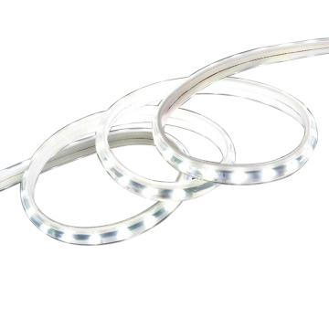 达序 LED灯带7W/m，白光，50m/卷 ZYD-220-DX07