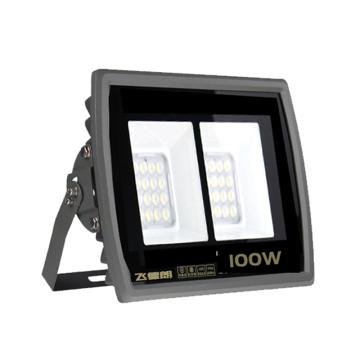 飞德朗 金星系列LED防水投光灯白光，支架安装 FDL-JXTGD-100W