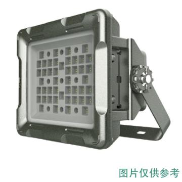 智圣谱 LED防爆泛光灯白光，200W，含U型支架 ZS-BF2140B