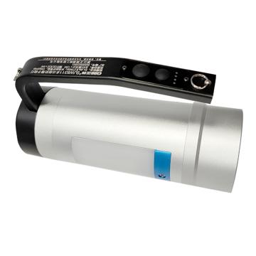正辉 防爆手提灯DC22.2V，银色 BJW8311 1×12W