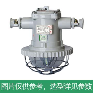 正安防爆 LED巷道灯煤安号MAH140217 正安DGS18/127L（B）