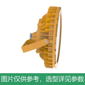 新曙光 防爆LED投光灯应急配置，60W，白光 NTK5080-E-C60，5700K，U型支架