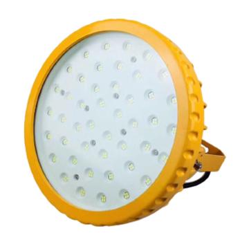 达序 LED防爆泛光灯白光，30W，含U型支架 TFB02-DX30