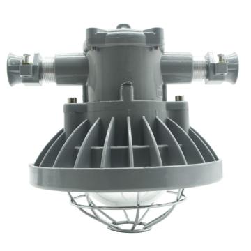 纽厄尔 矿用隔爆型LED巷道灯 DGS60/127L(B)-60W