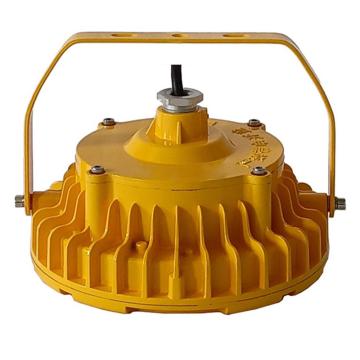 新曙光 防爆LED平台灯(低压款)，40W AC/DC36V-48V NPK5063-D-48V