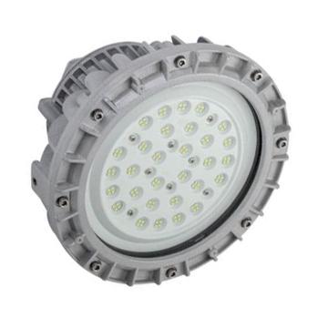 YGZM LED防爆灯IP65/WF2，白光，215*250mm，明装式安装 YBFC-50W