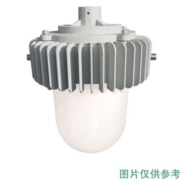 雷发照明 LED平台灯50W，白光，5000K，吊杆安装，90°配光，不含吊杆 LF-PT-50-06