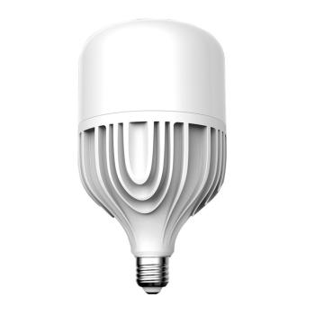 非的 LED三防球泡灯6000K，IP54，白光 FD-SFQPD2-30W-E27