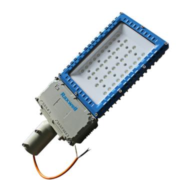 Raxwell 路灯路灯式，100W，颜色可定制 RLBF2021
