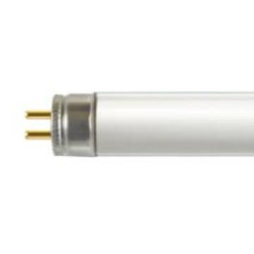 PHILIPS/飞利浦 紫外消毒灯管TUV T5，302.5mm 928001104013，8W CN FAM/10X25BOX
